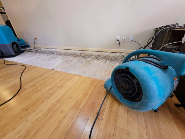 Professional Structural Drying technician working in Harrisburg, IL